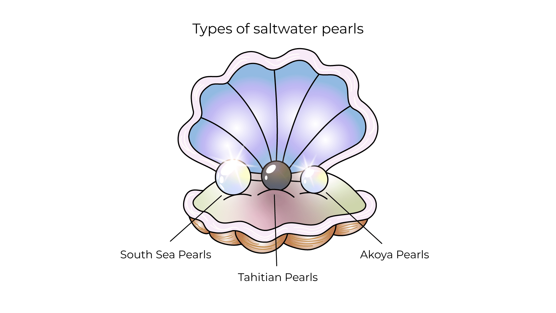 types of saltwater pearls